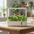 Indoor Hydroponics Growing System with LED Grow Light