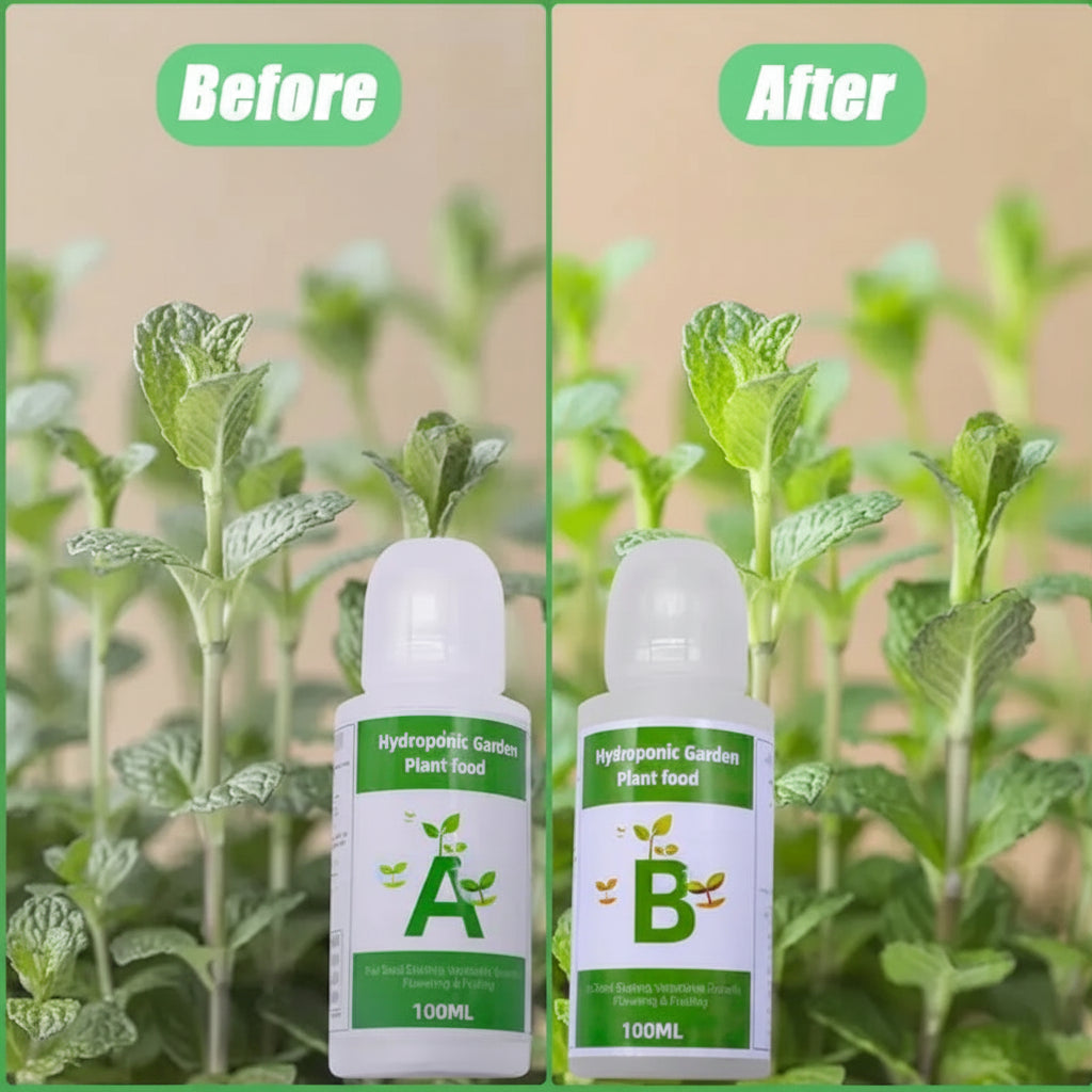Hydroponic Plant Fertilizer A & B — Nutrient Solution for Indoor Gardens