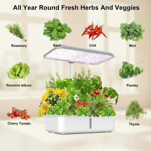 Herbs Infographic with White Hero Product