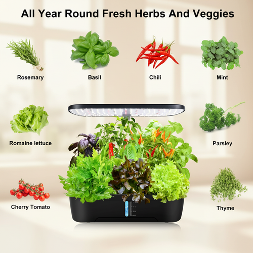 Redesigned Herbs & Veggies Infographic